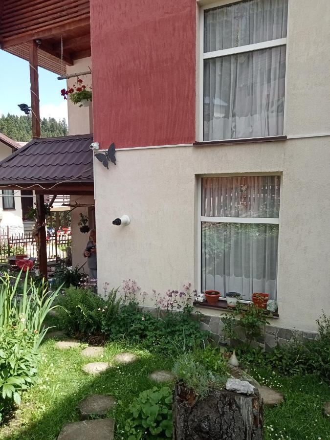 Casa Crisandri Busteni Hotel Kültér fotó