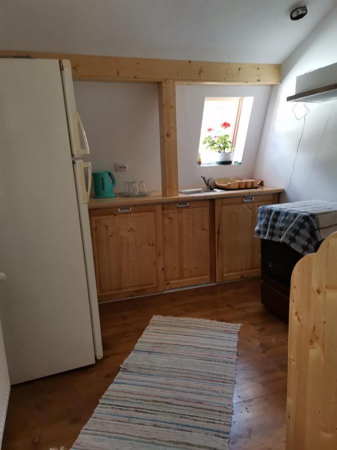 Casa Crisandri Busteni Hotel Kültér fotó