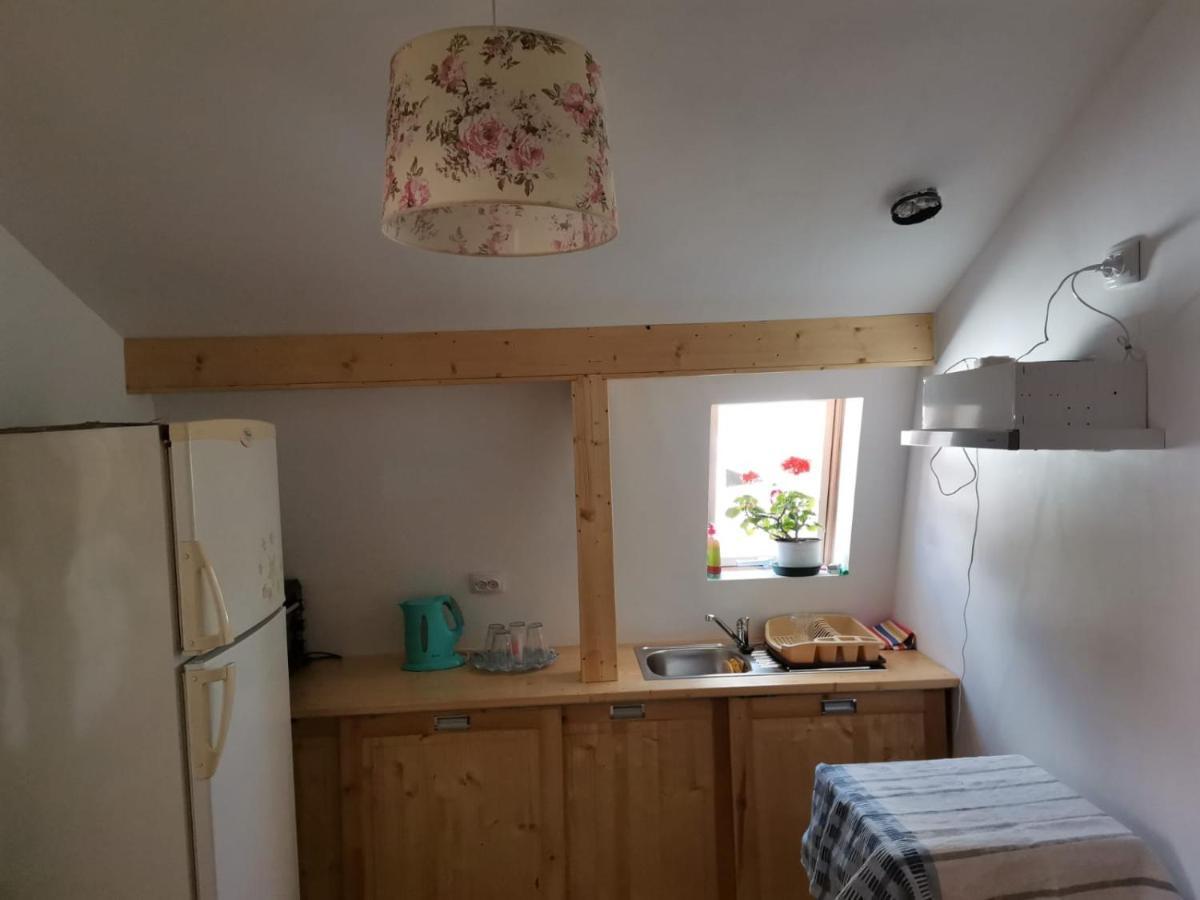 Casa Crisandri Busteni Hotel Kültér fotó