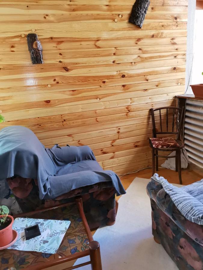 Casa Crisandri Busteni Hotel Kültér fotó