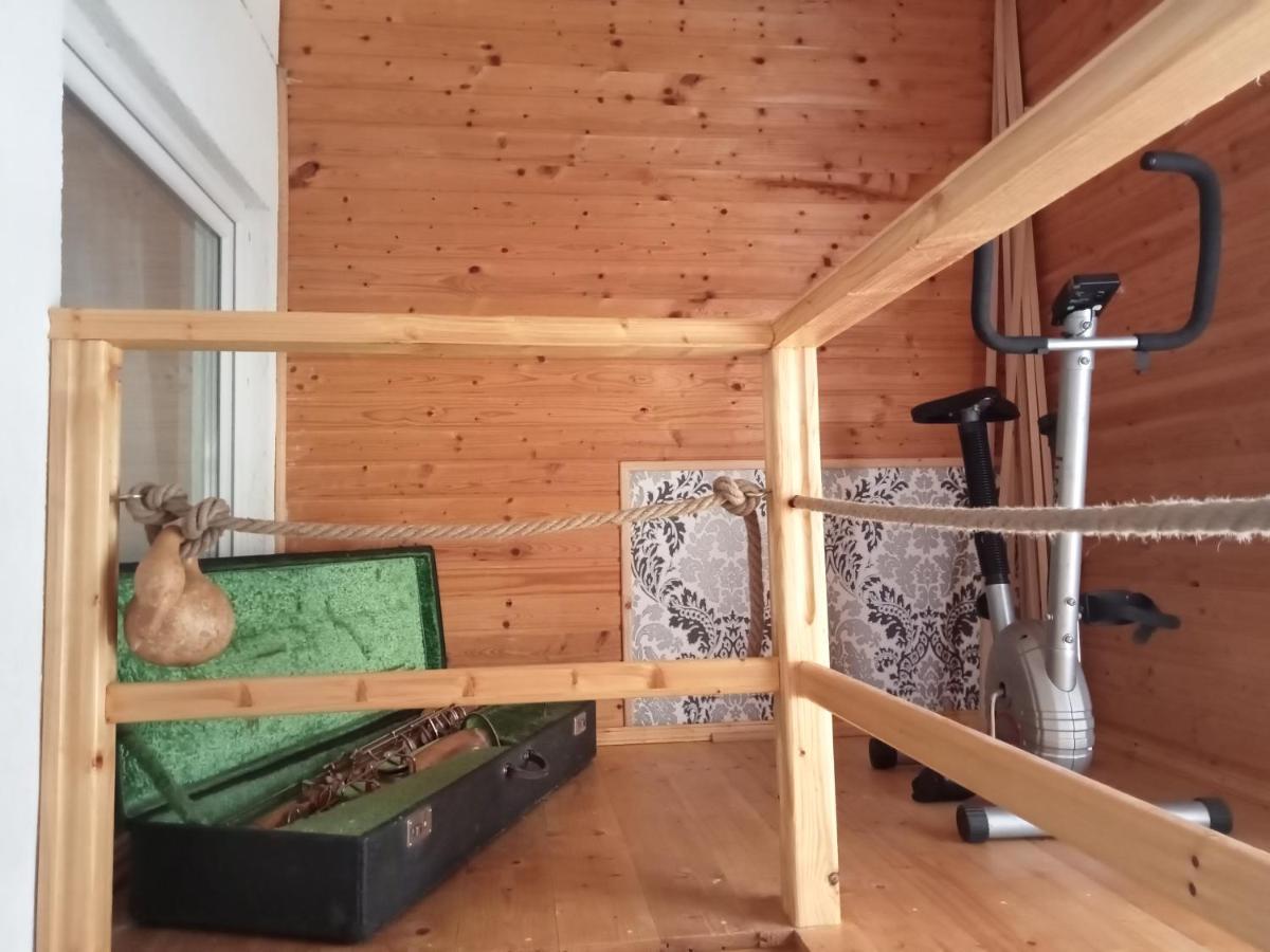 Casa Crisandri Busteni Hotel Kültér fotó